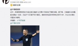 沈寅豪最新爆料,揭秘娱乐圈惊人内幕